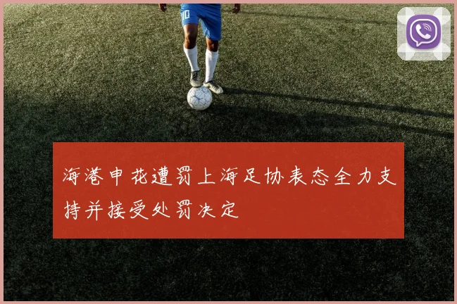 海港申花遭罚上海足协表态全力支持并接受处罚决定